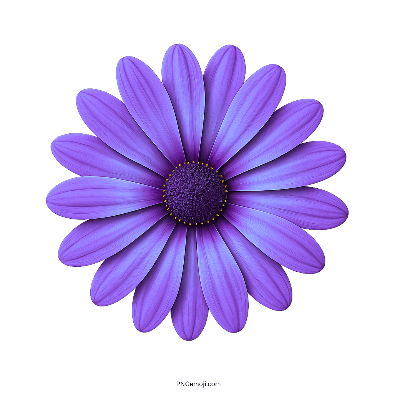  Elegant purple African daisy flower with vibrant petals and dark center, against a green background.