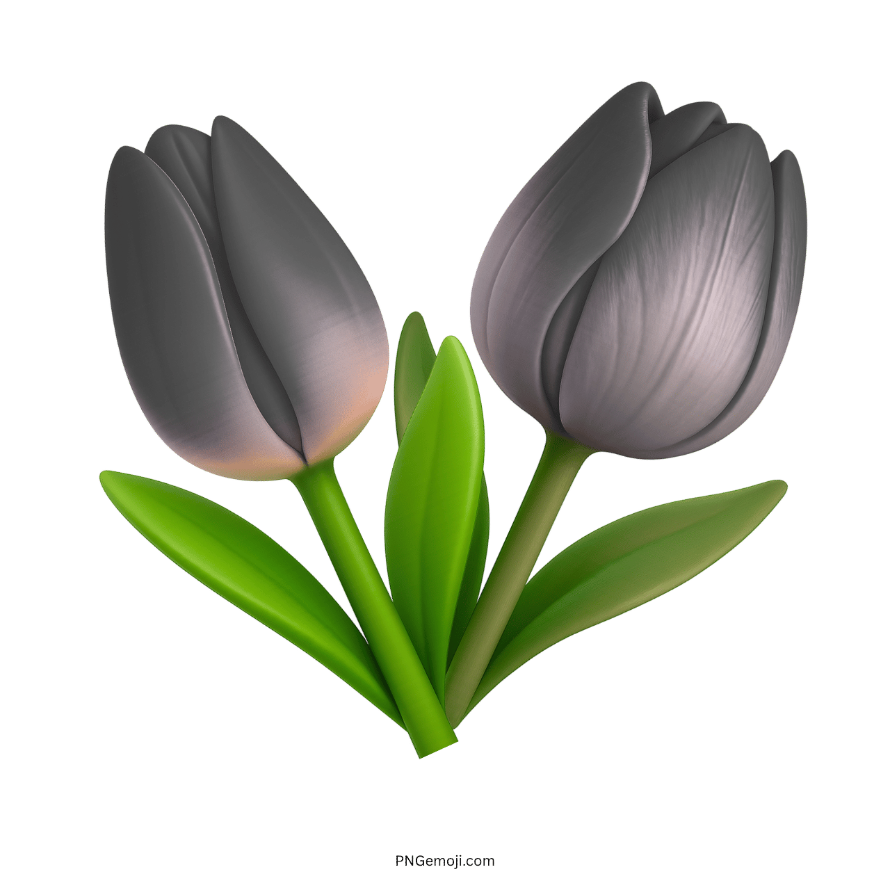 Black tulip emoji with two flowers and green leaves.