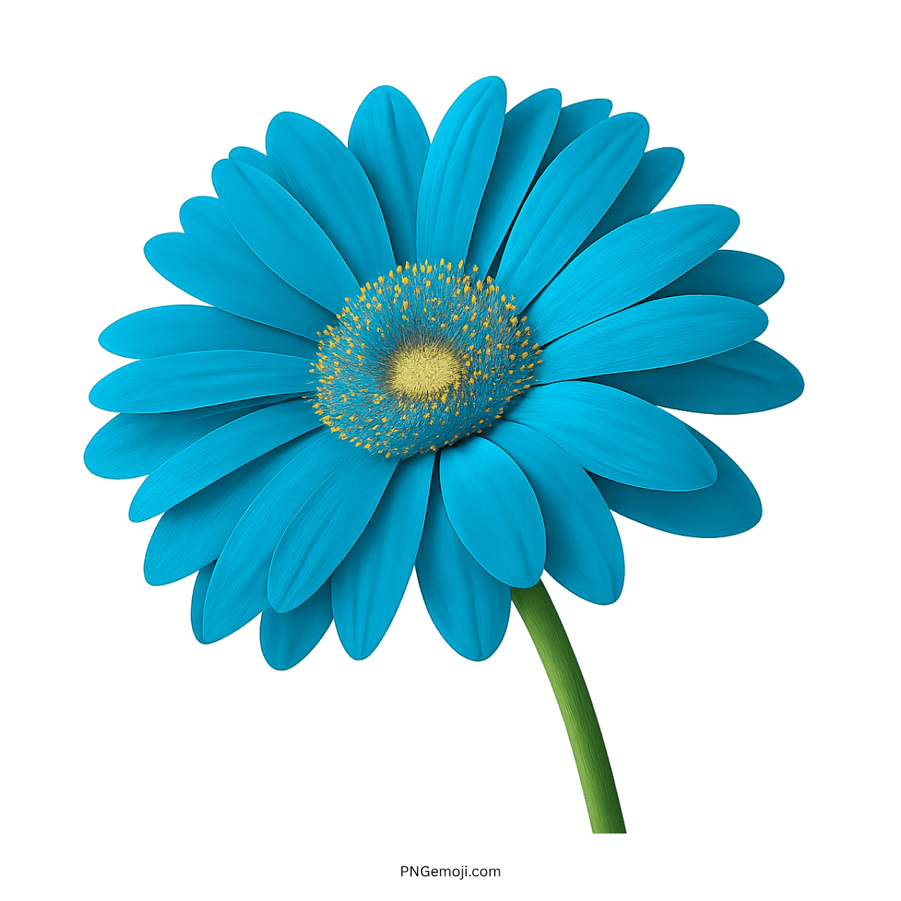 Vibrant blue Gerbera daisy flower with a yellow center and green stem.