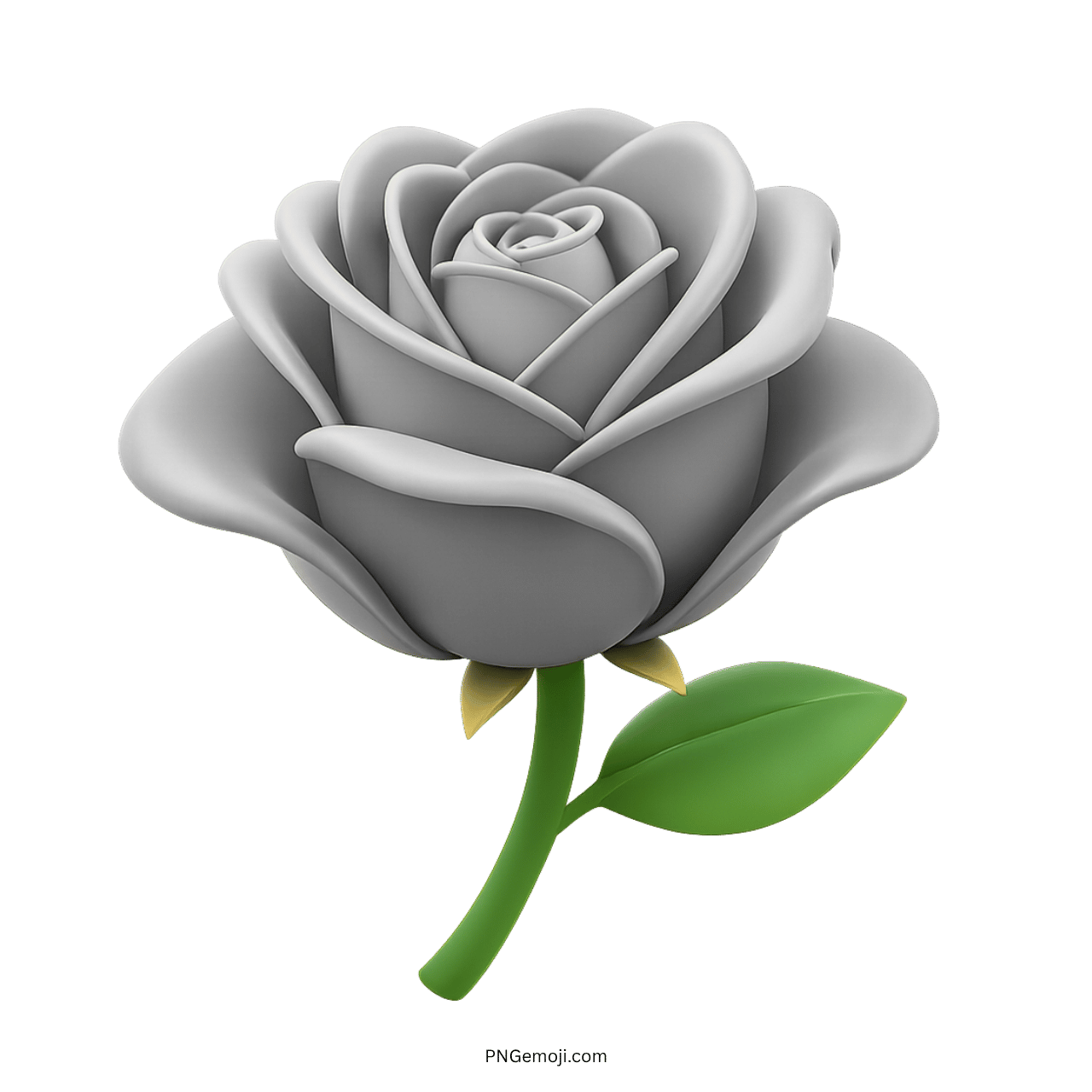 3D gray rose flower with realistic details and leaves
