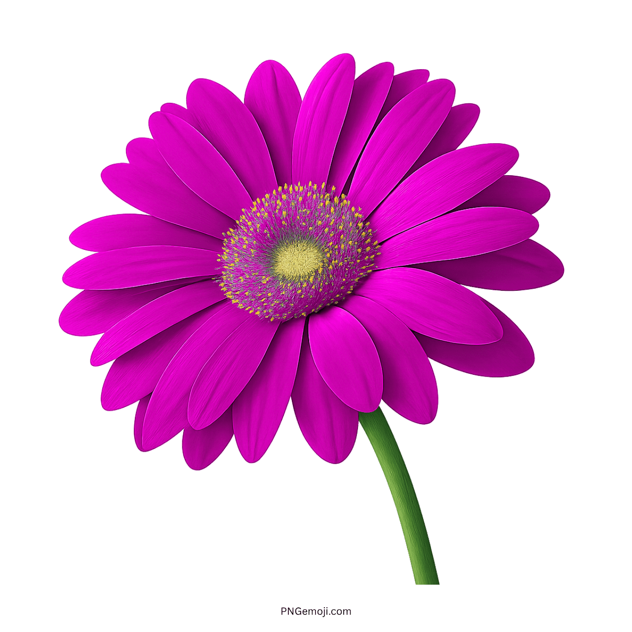 Vibrant pink Gerbera daisy flower with a yellow center and green stem.