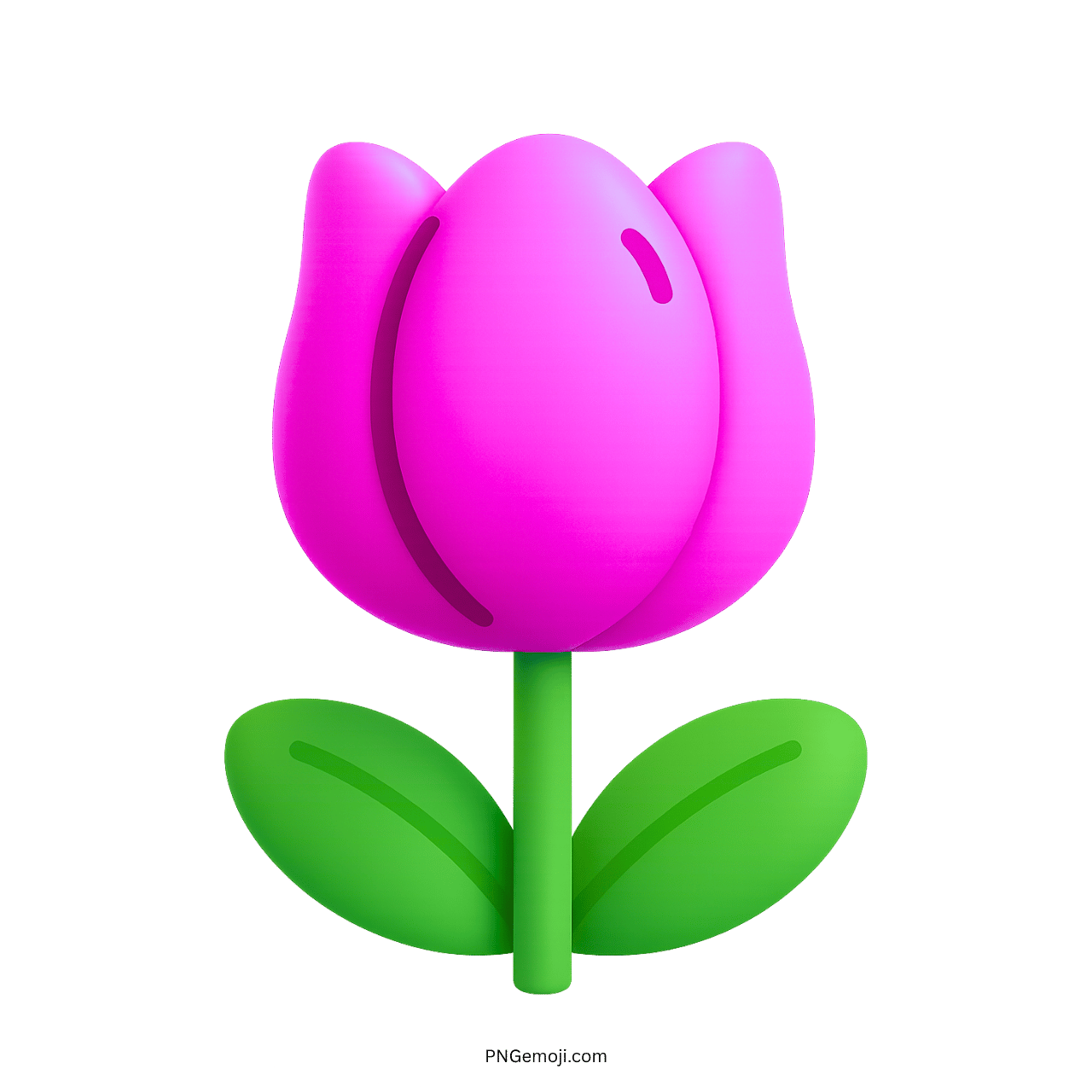 Pink Tulip Flower Illustration PNG with Smooth Design