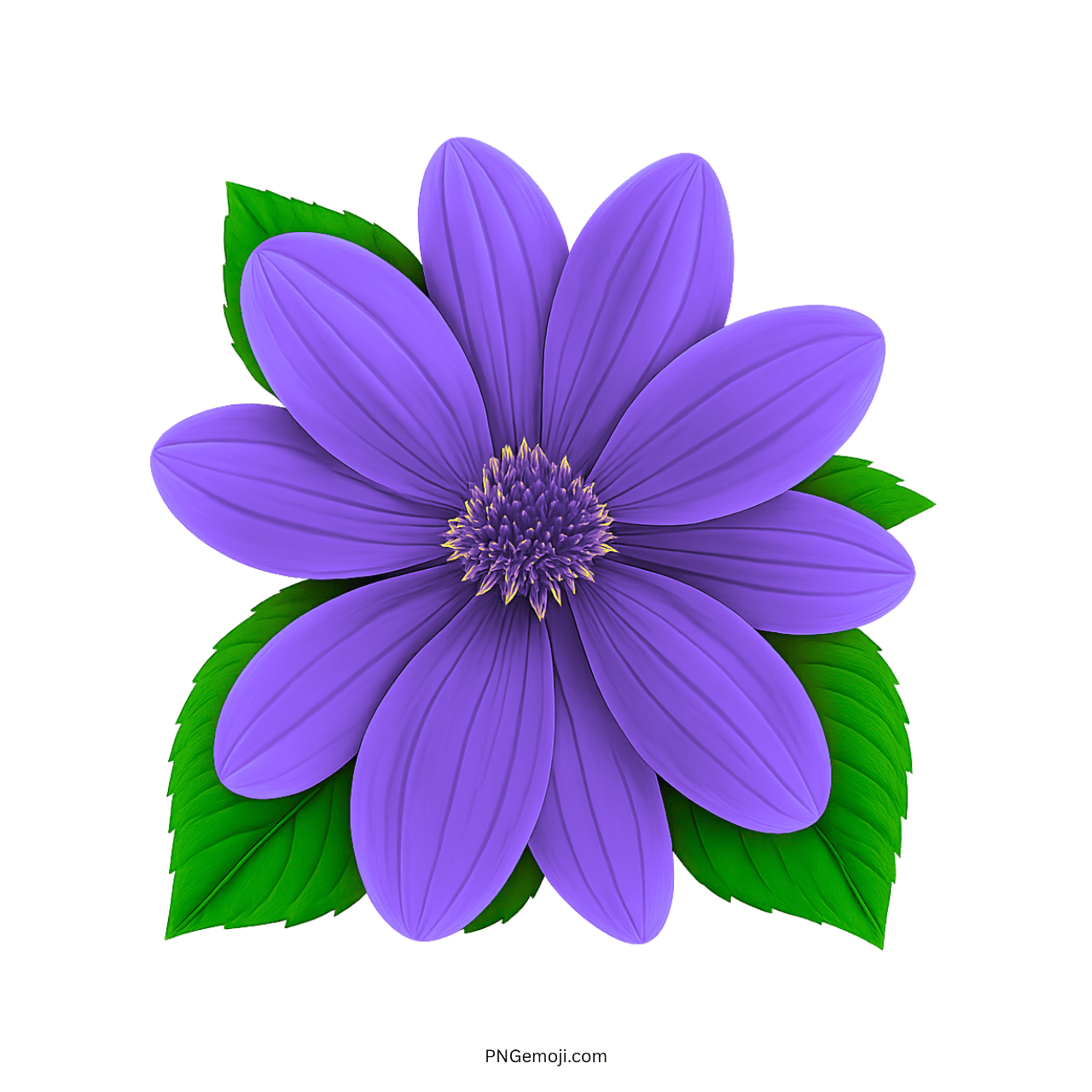 Beautiful purple flower with smooth petals and green leaves, symbolizing spring