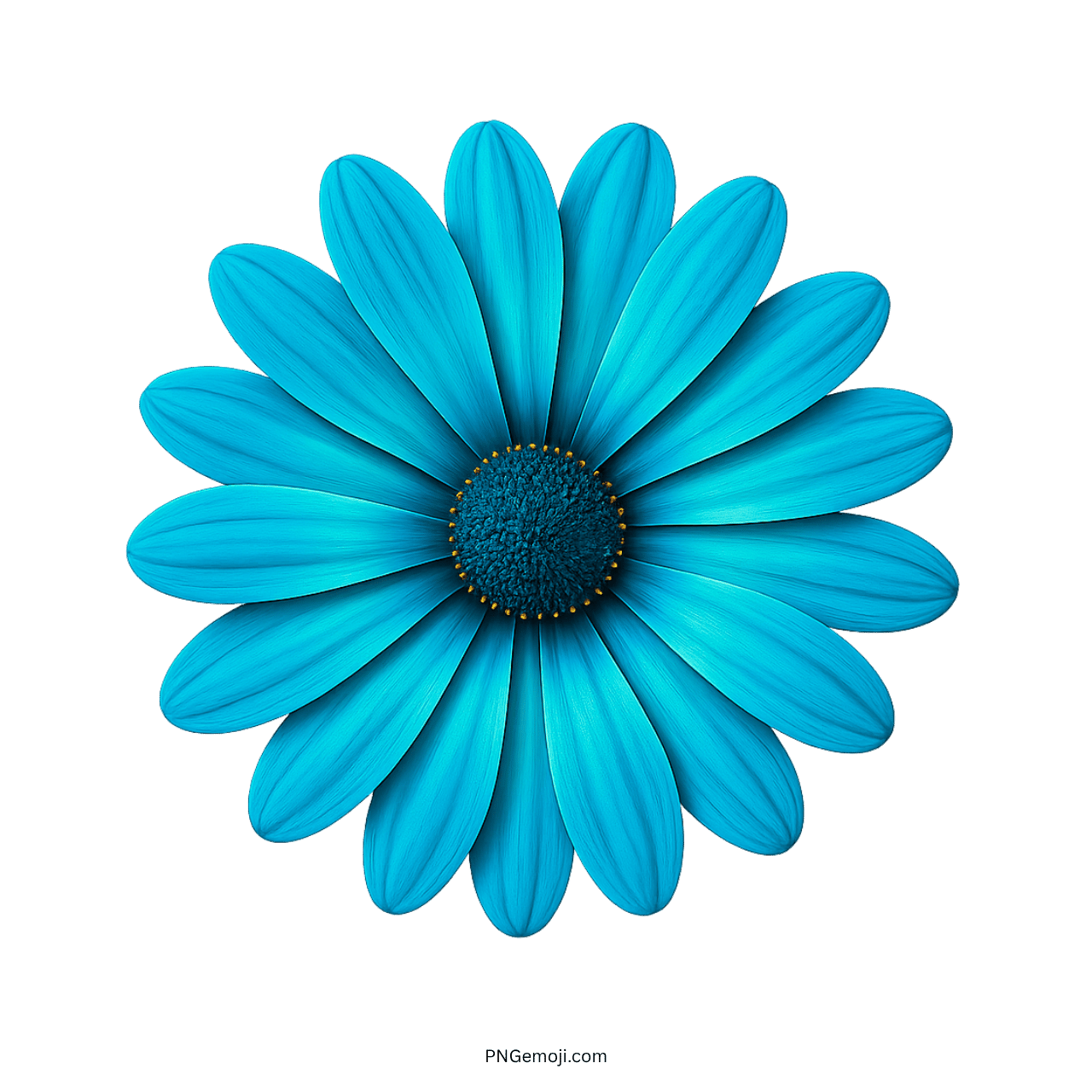 Stunning turquoise African daisy flower with vibrant petals and a dark center.