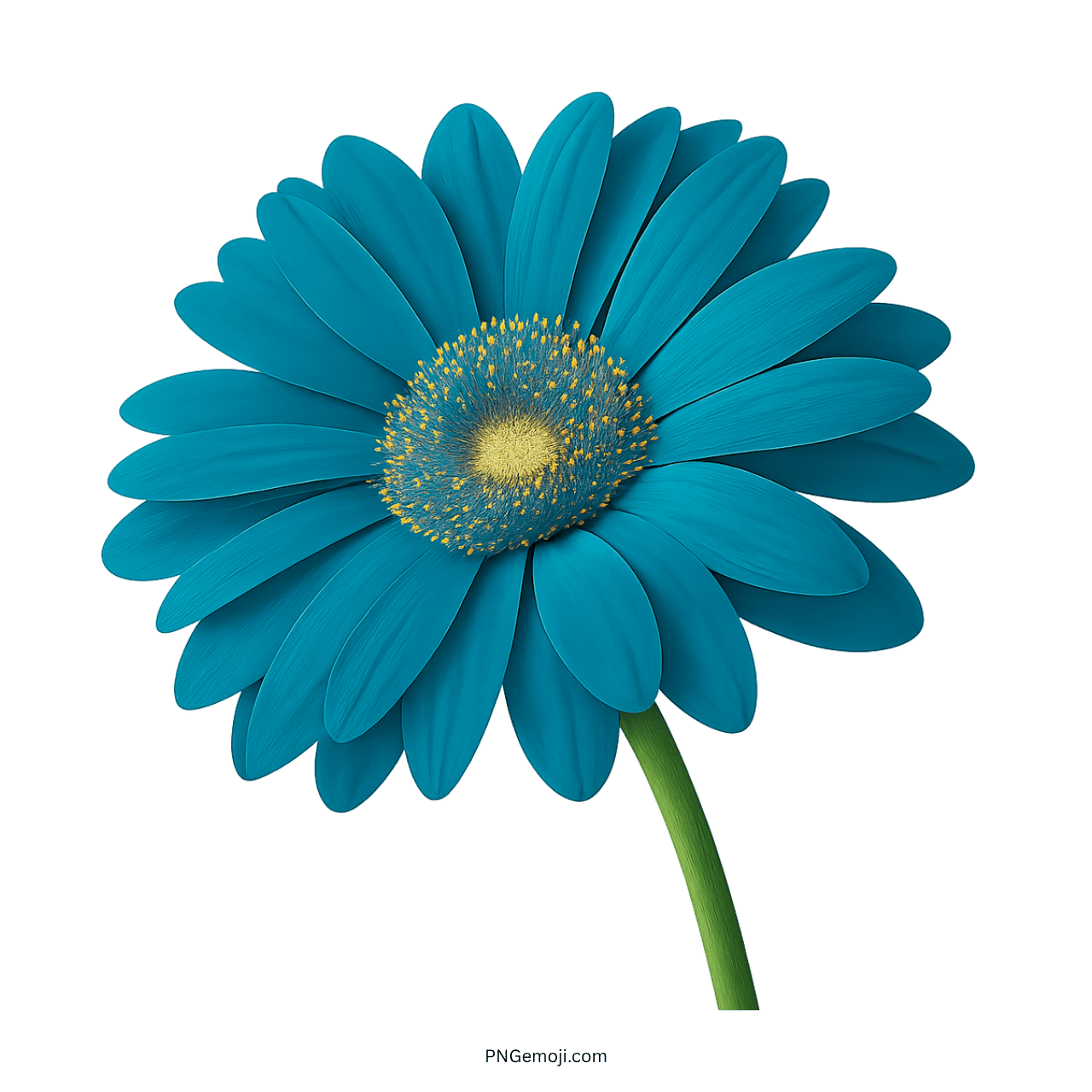 Turquoise Gerbera daisy flower with yellow center and green stem.