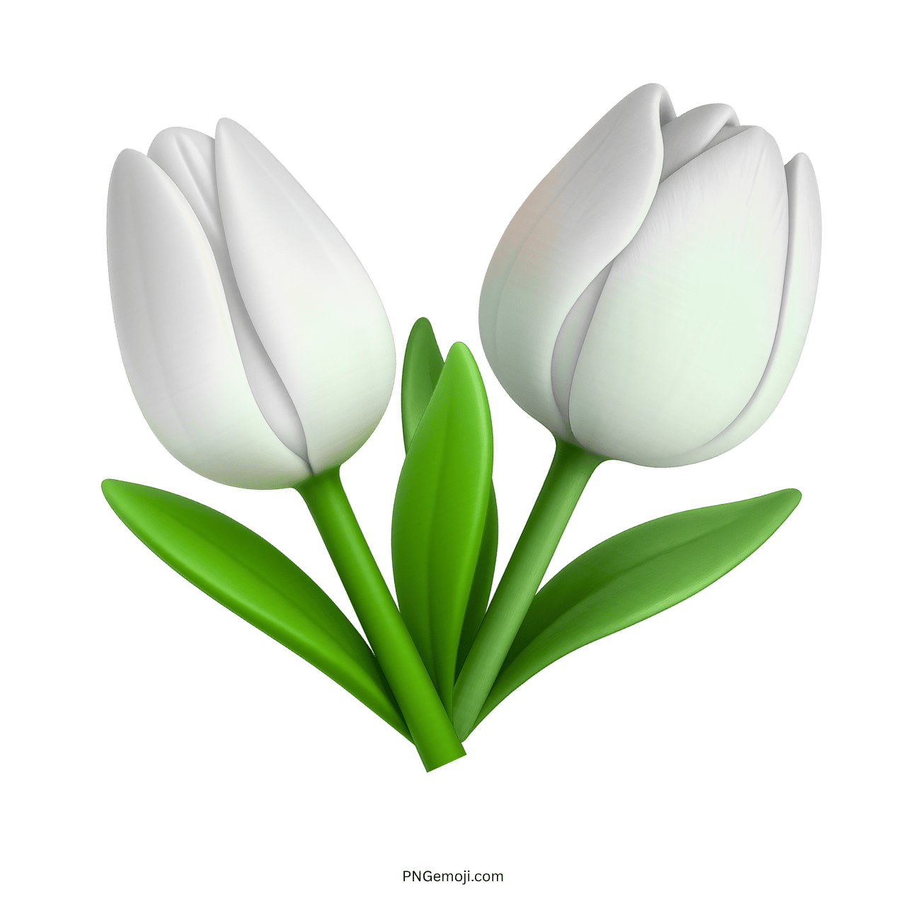 White tulip emoji with two flowers and green leaves.