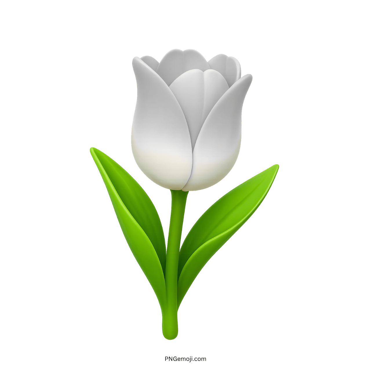 White Tulip Flower Emoji with Green Leaves PNG Image