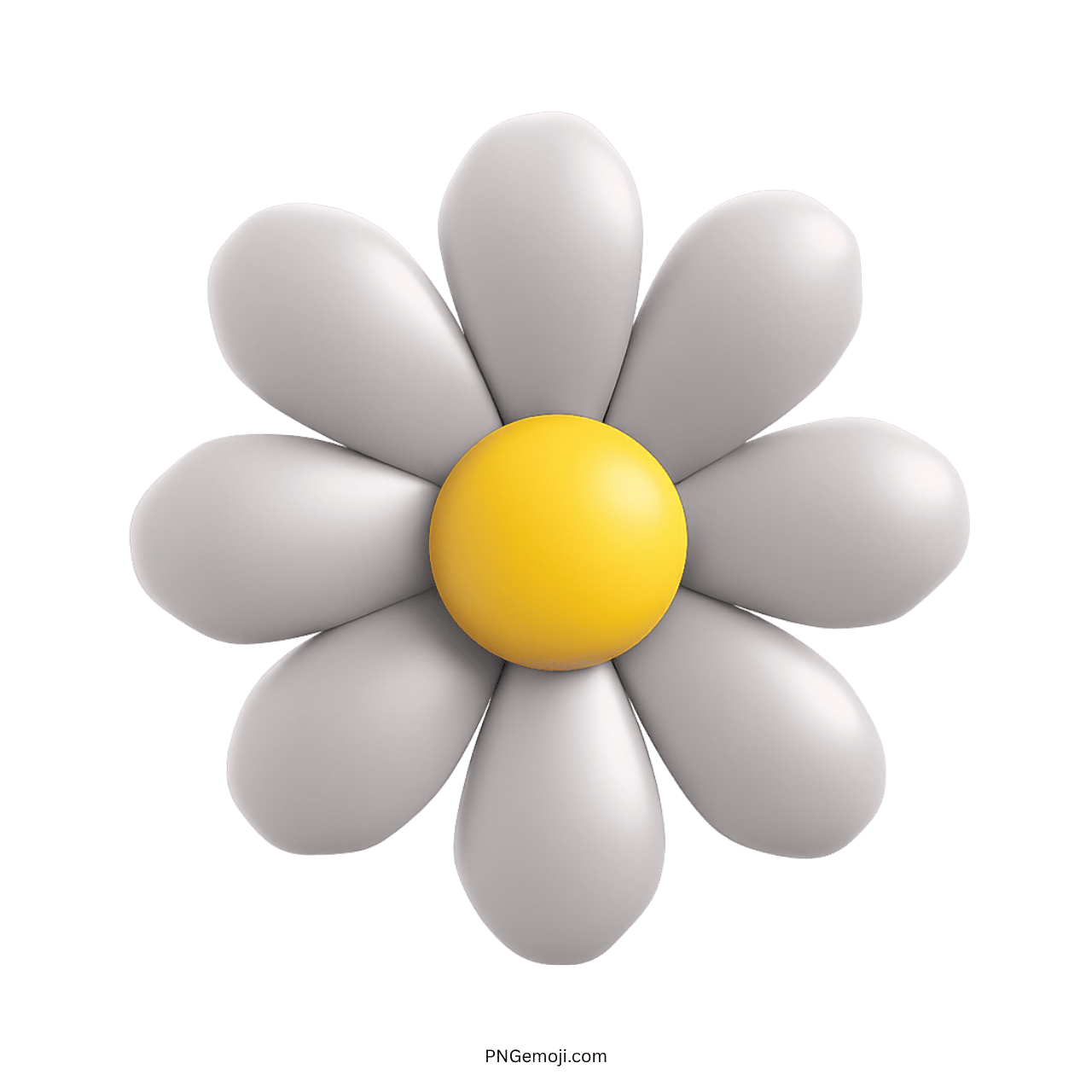 Soft white and yellow daisy flower clipart with rounded petals and bright center