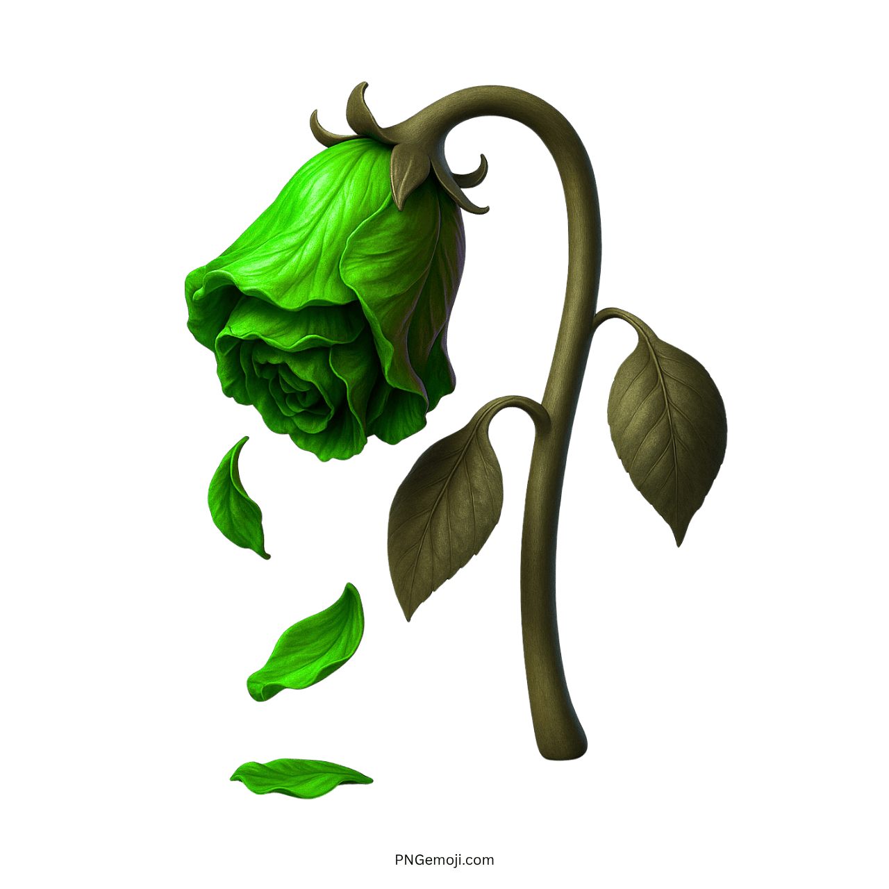 Wilted green rose representing faded growth, vitality, and loss with falling leaves.