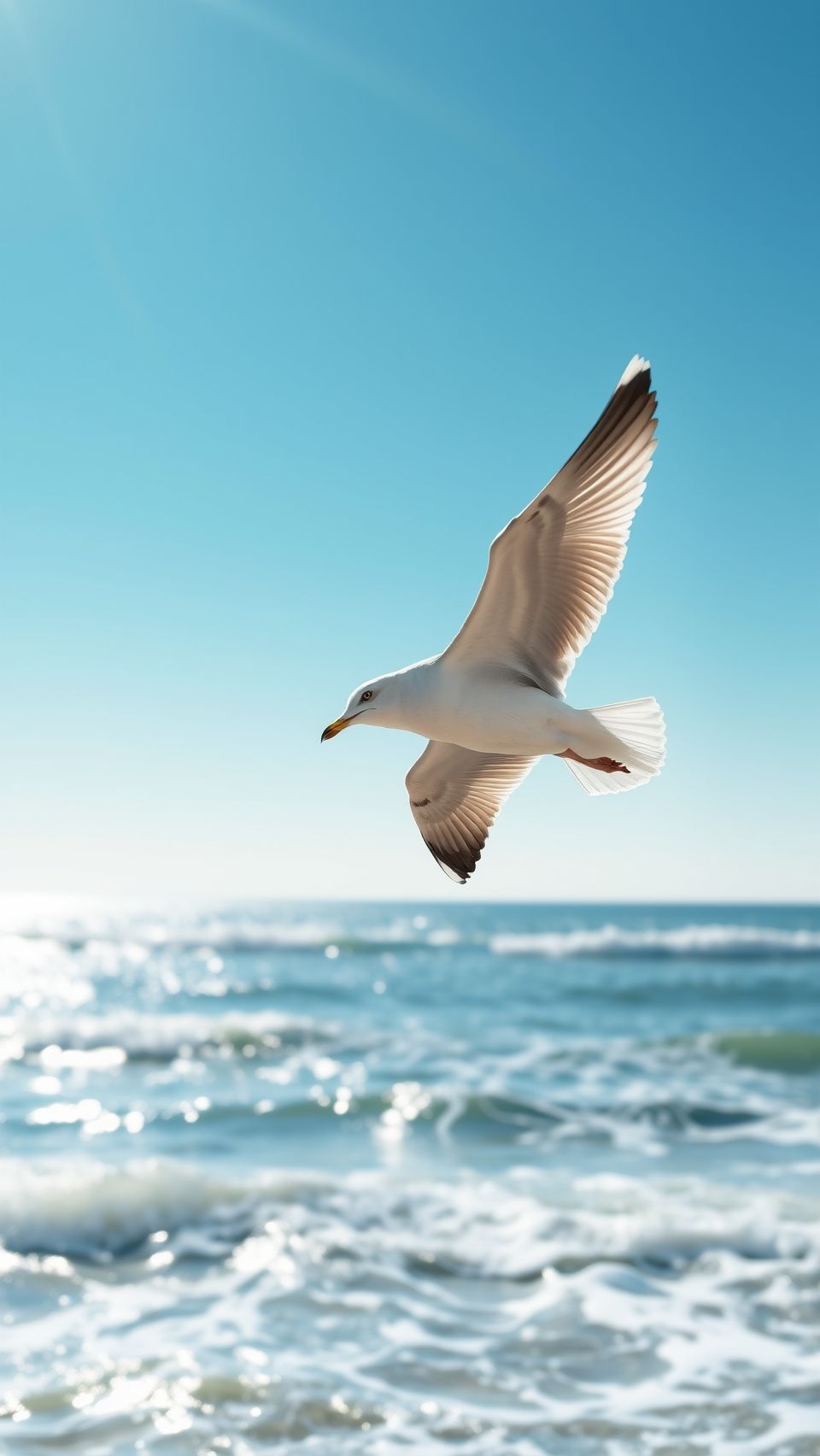 Seagull flying over the ocean with a clear blue sky in the background.