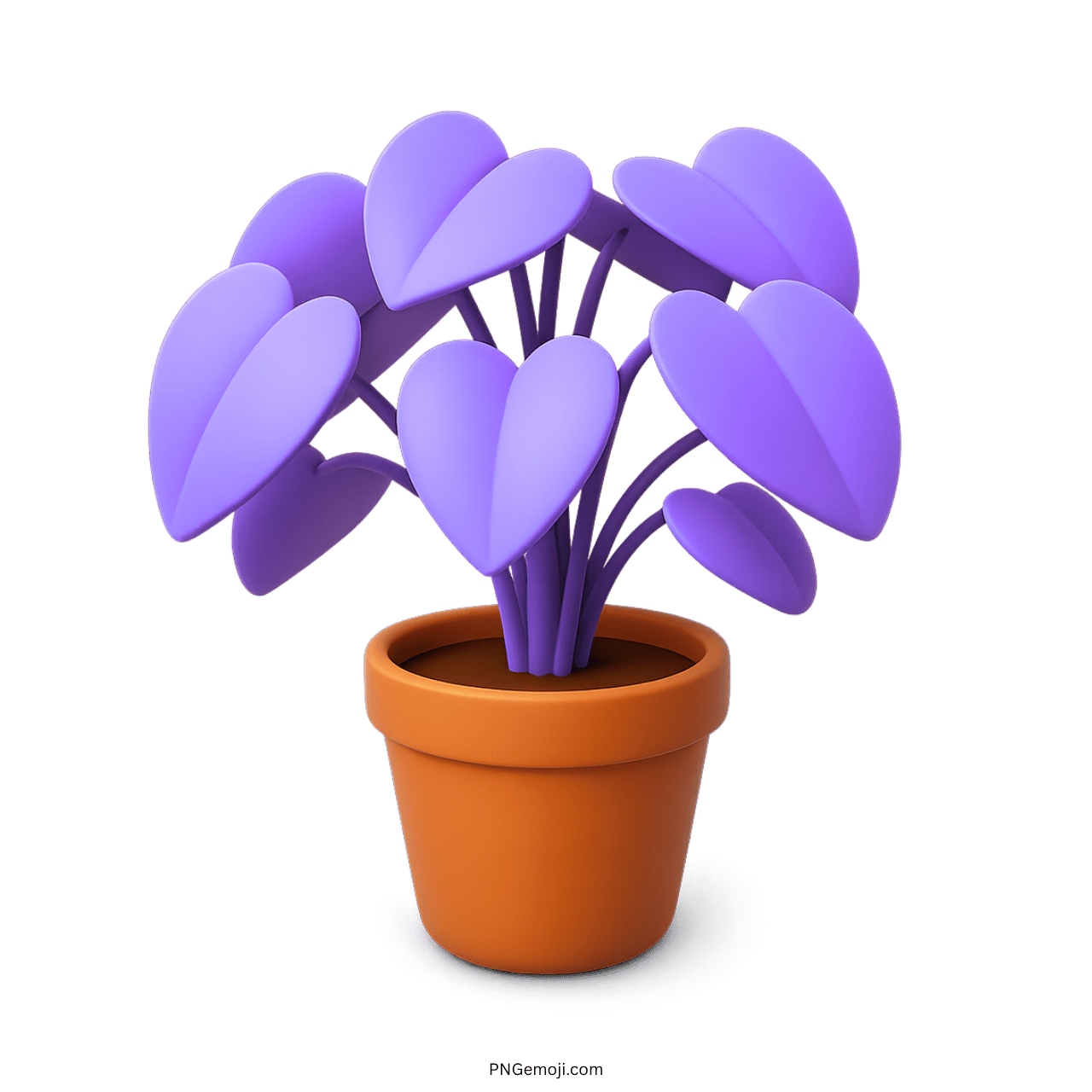 Beautiful potted plant with purple heart-shaped leaves in a brown pot