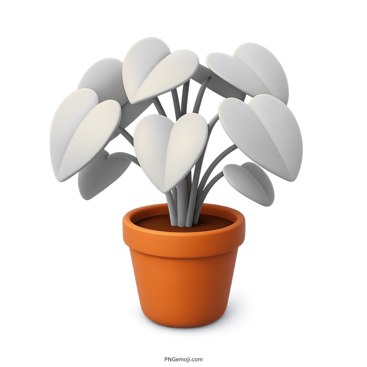 Elegant potted plant with white heart-shaped leaves in a brown pot