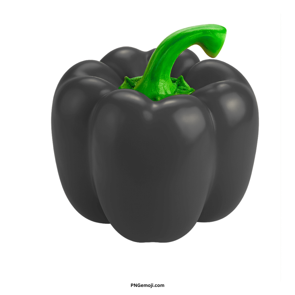 Fresh black bell pepper PNG with green stem isolated on transparent background for design projects