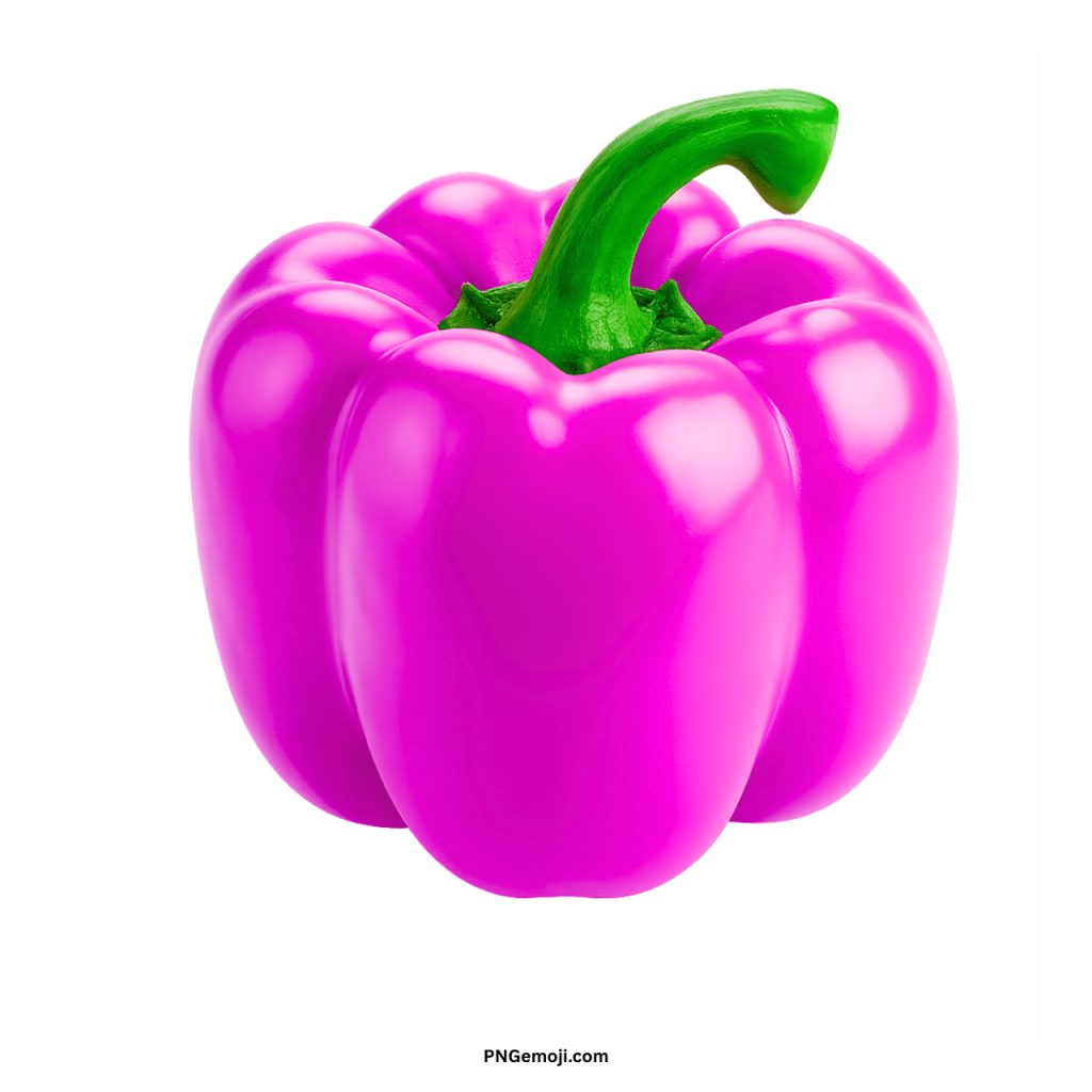 Realistic purple bell pepper PNG fresh vegetable illustration isolated with glossy texture