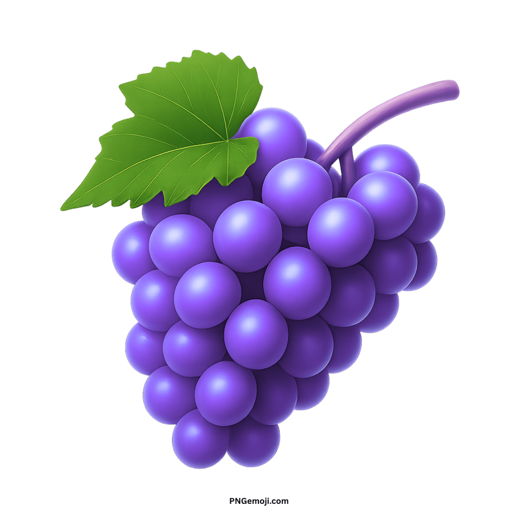 A classic purple grape emoji with a green leaf and a purple stem against a black background.