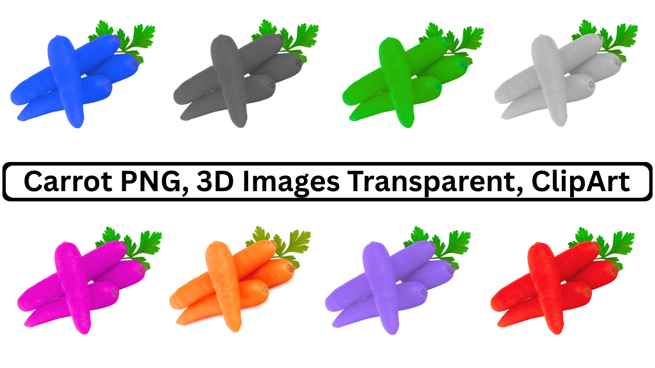 Colorful carrot PNG set with 3D designs and transparent background for creative clipart use