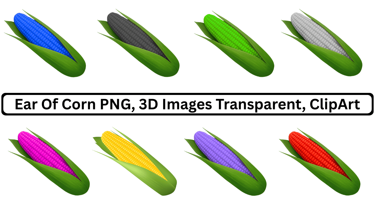Colorful ear of corn PNG set with green husks, 3D clipart transparent background